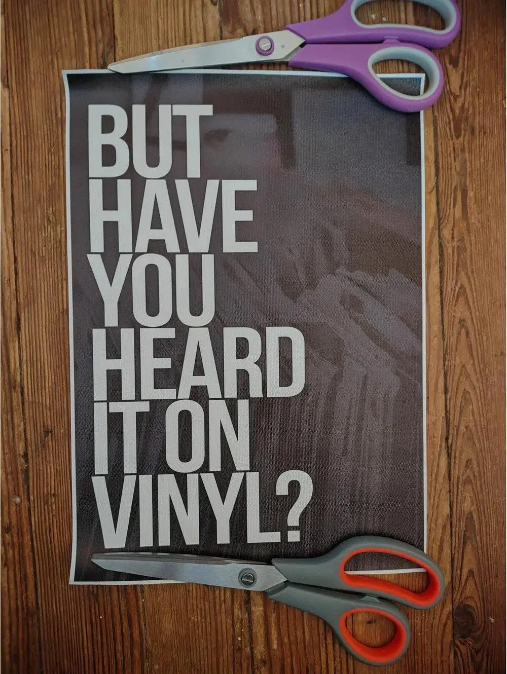 But Have You Heard It On Vinyl? - Canvas Print - 8